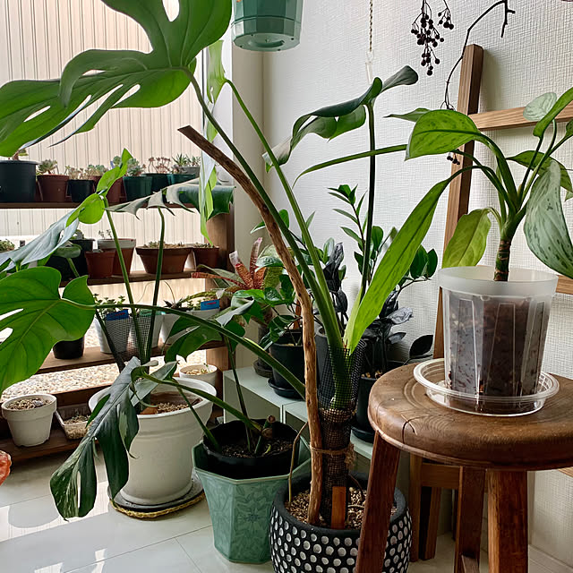 luluさんの部屋