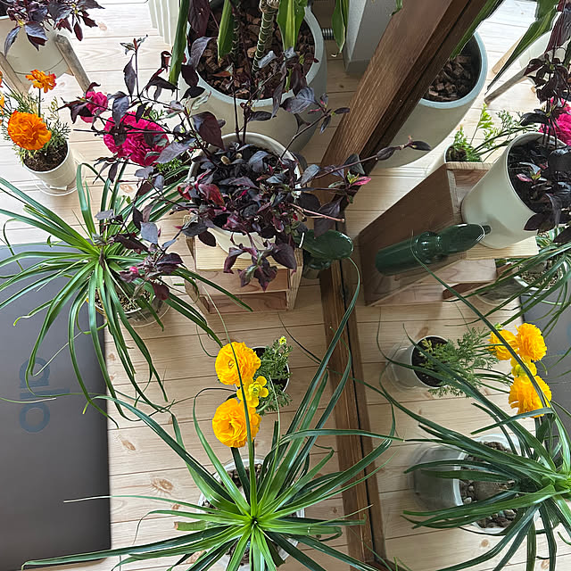 nee_roomさんの部屋