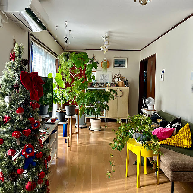 65-24oxoさんの実例写真