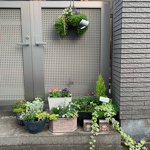 maayaさんの部屋