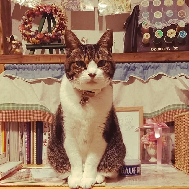 civicglさんの実例写真