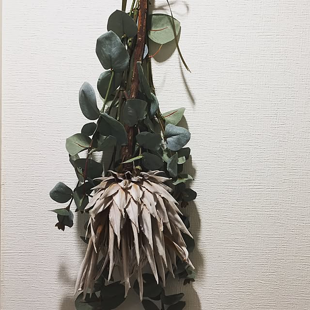 shihoさんの実例写真