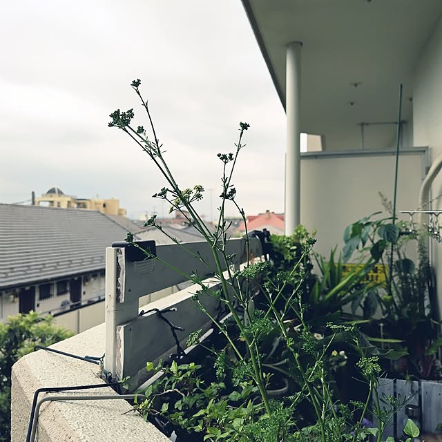yuuu7712さんの部屋
