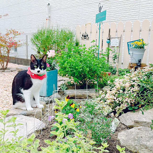 moolさんの実例写真