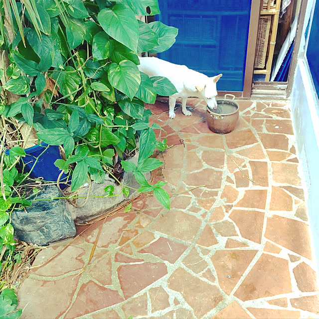 Mさんの実例写真