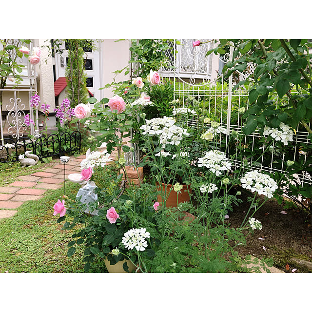 yumicyanさんの部屋
