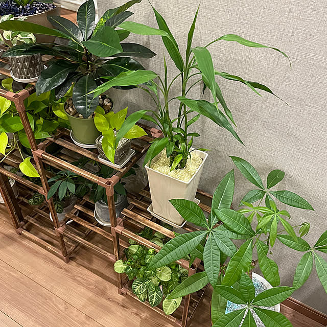 ikuzakさんの部屋