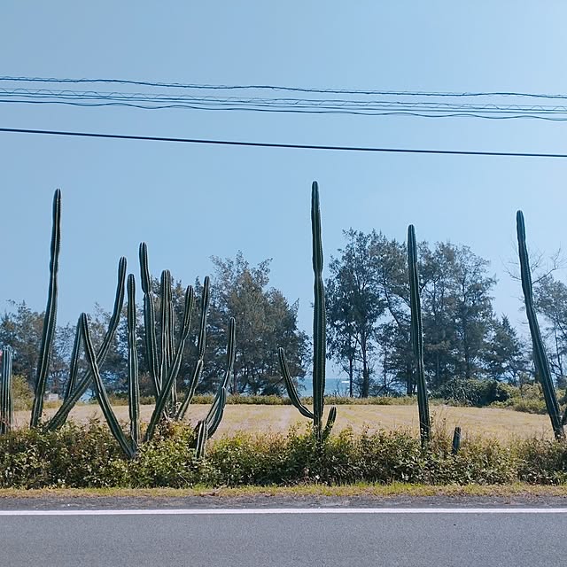 raykさんの実例写真