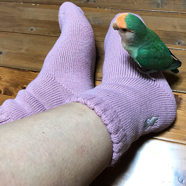 aoinokimiさんの実例写真