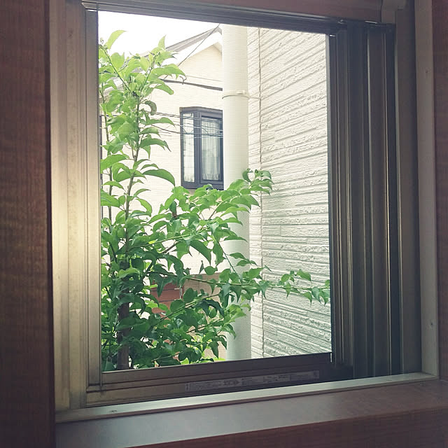 hana0423さんの実例写真