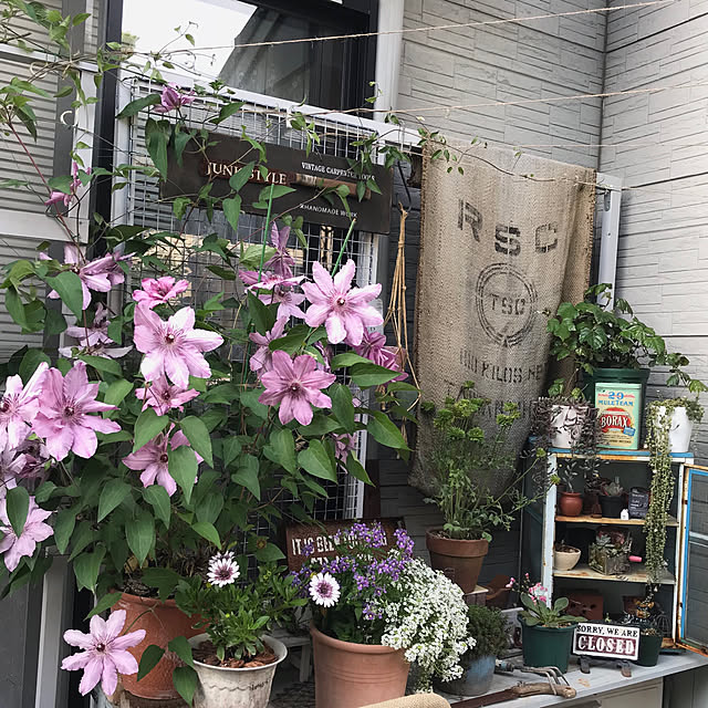 bibianさんの実例写真