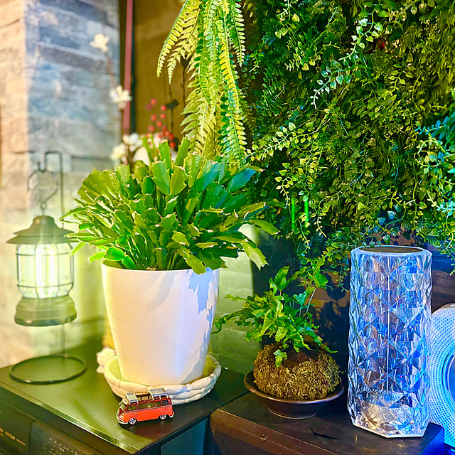 tututu0204さんの実例写真