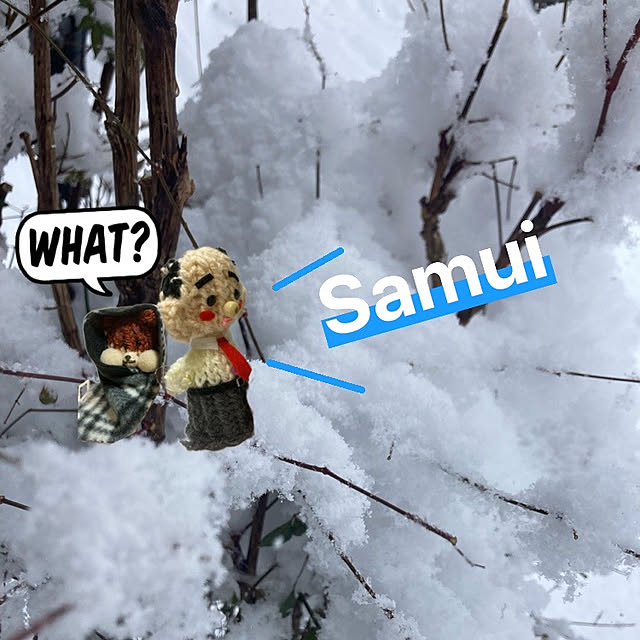 manduonmaさんの実例写真