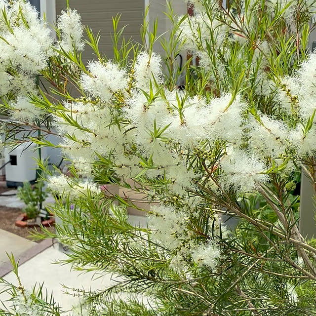 Junさんの部屋