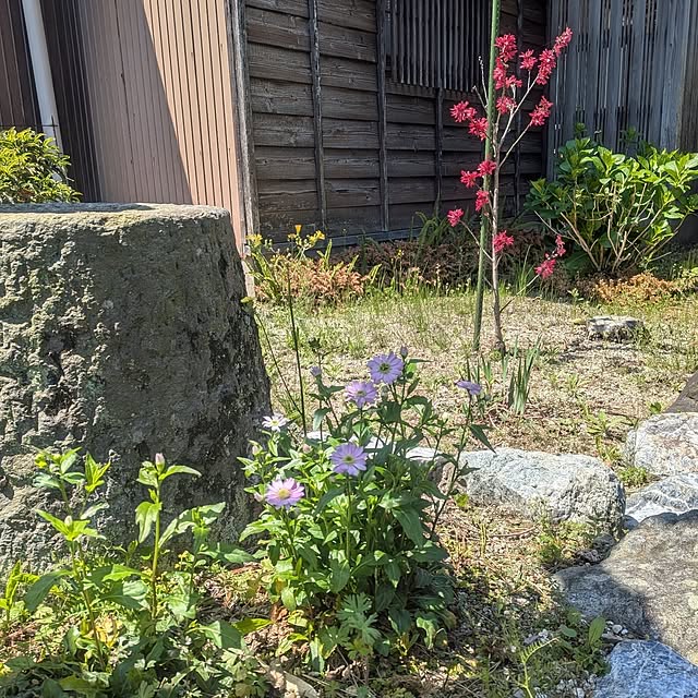 kuririnmamaさんの部屋