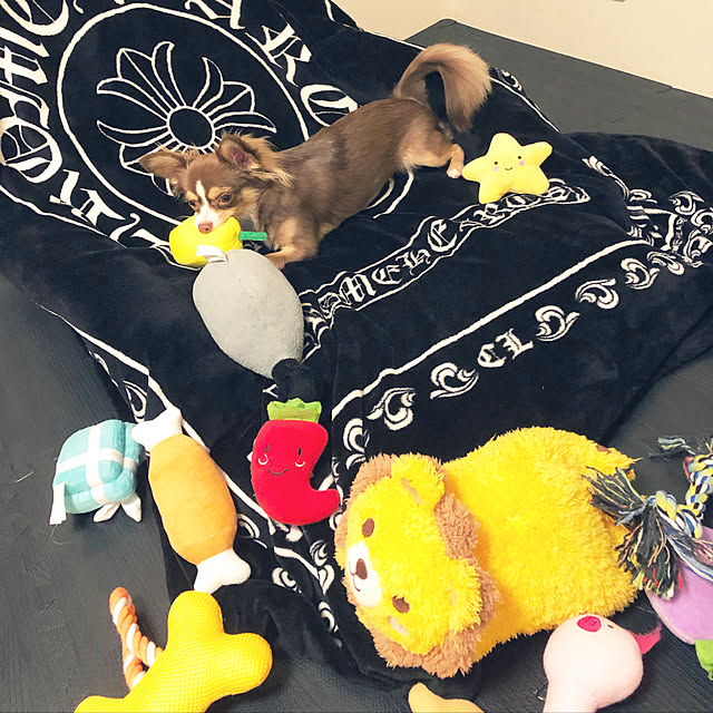 chocoさんの実例写真