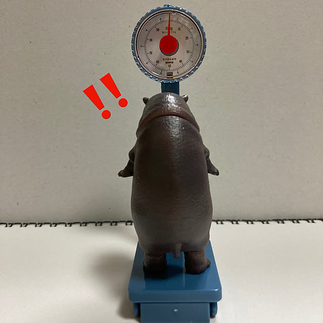 manduonmaさんの実例写真