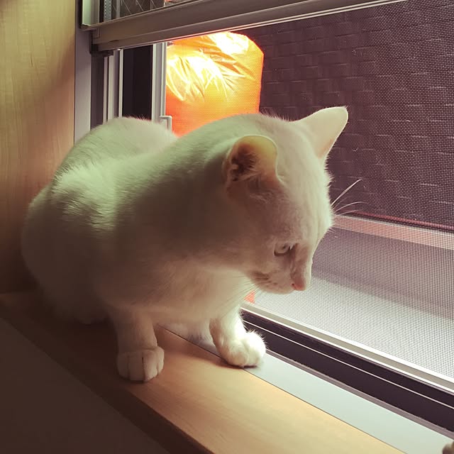 love0621さんの実例写真