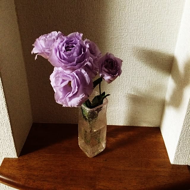 pochiさんの実例写真