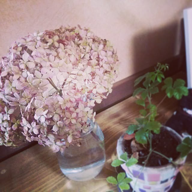 mugi-fukuさんの実例写真