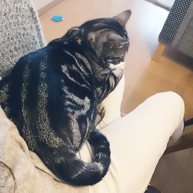 vanillaさんの実例写真