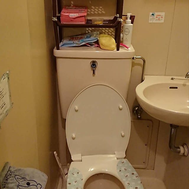 amekoamatsubuさんの実例写真