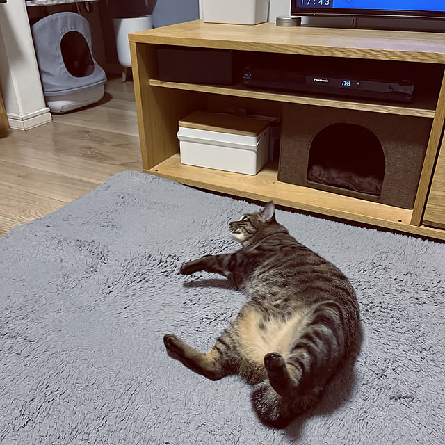 masamasaさんの実例写真