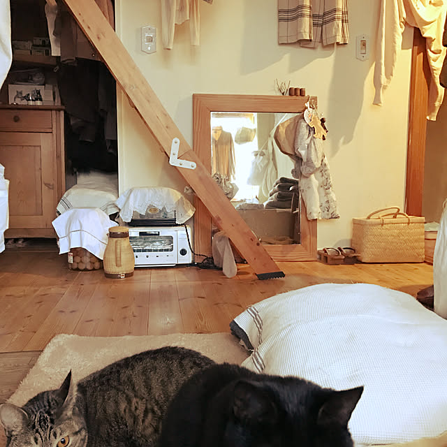 neko-2.2.2runmuさんの実例写真