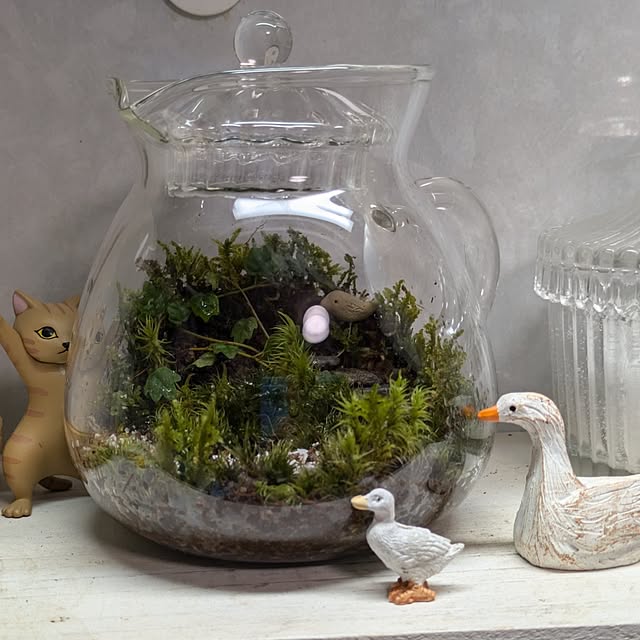 mori_6_12さんの実例写真
