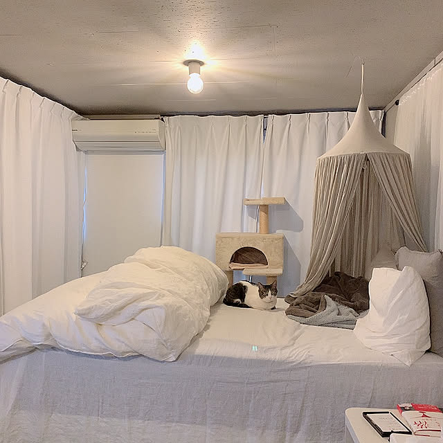 Shihoさんの実例写真