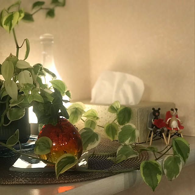 Saraさんの実例写真