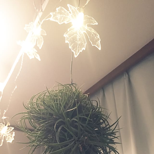 samyyy-888さんの実例写真