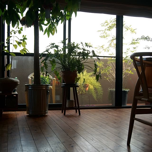 akaneさんの実例写真
