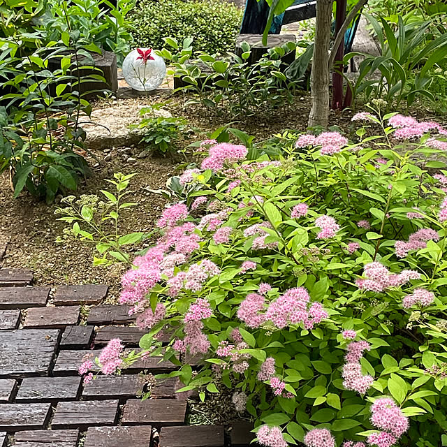 nobikoさんの部屋