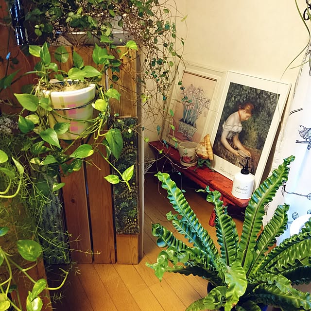 asaさんの実例写真