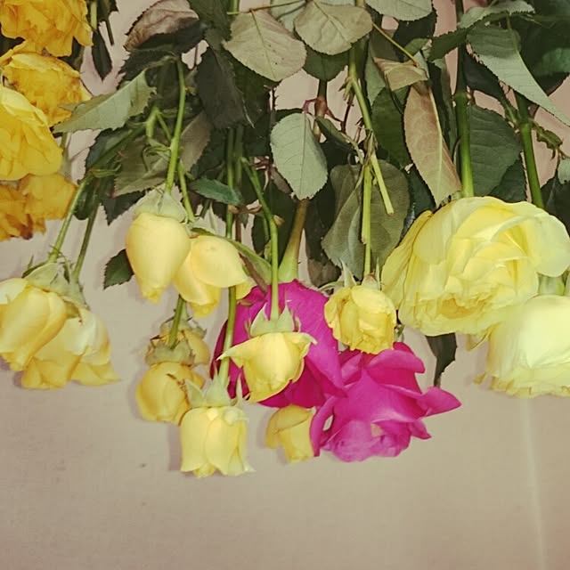Blanc-purさんの実例写真