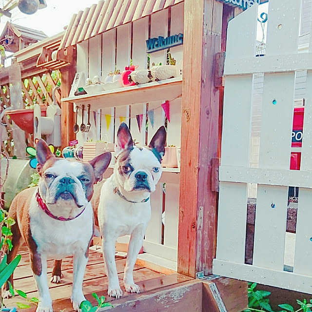maiさんの実例写真