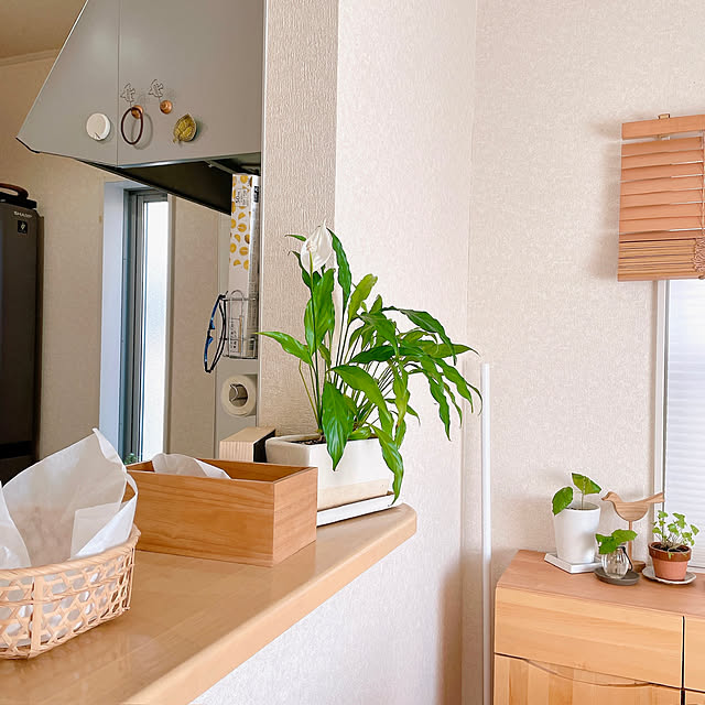 rinoさんの部屋