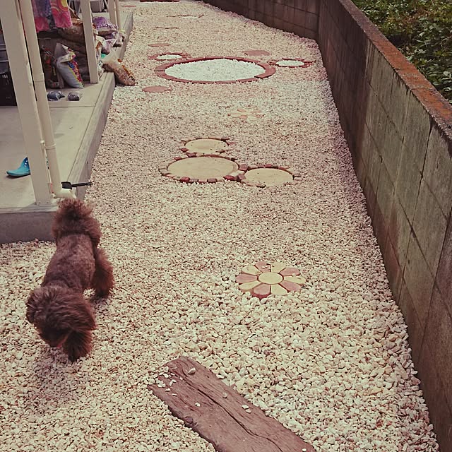 oasさんの実例写真