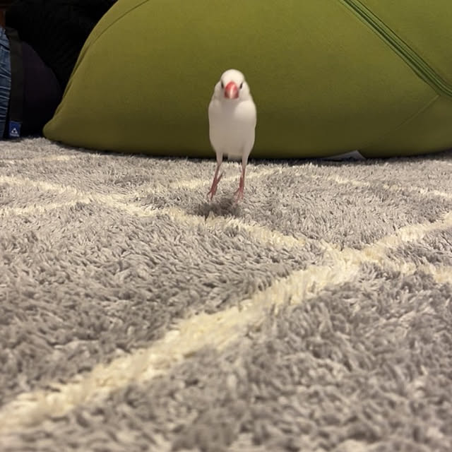 sumireさんの実例写真