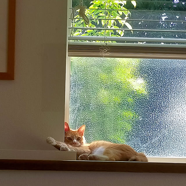 mokoさんの実例写真