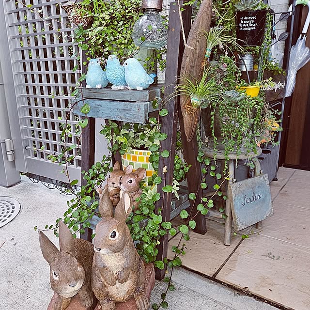 mocomocoさんの部屋