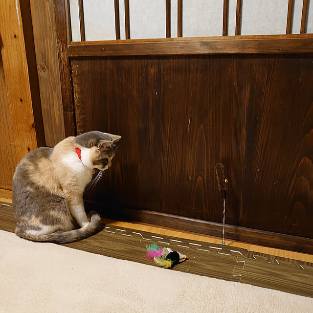 fukuさんの実例写真