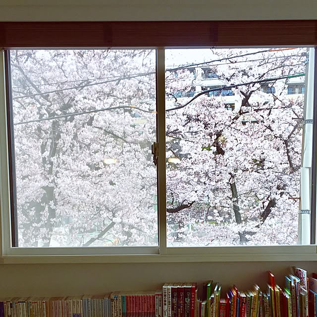 plusさんの実例写真