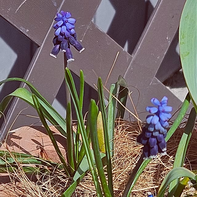 mocomocoさんの部屋