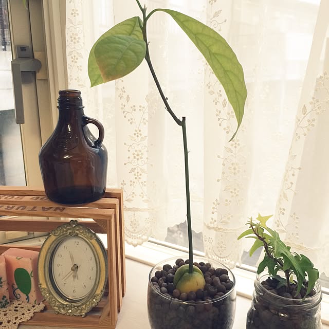 kaoさんの実例写真