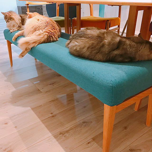 s.ayako1226さんの実例写真