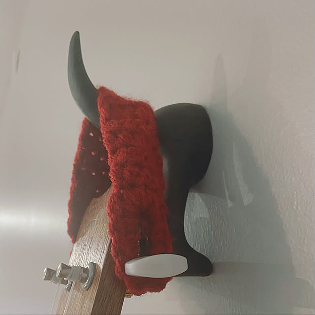 Echoさんの実例写真