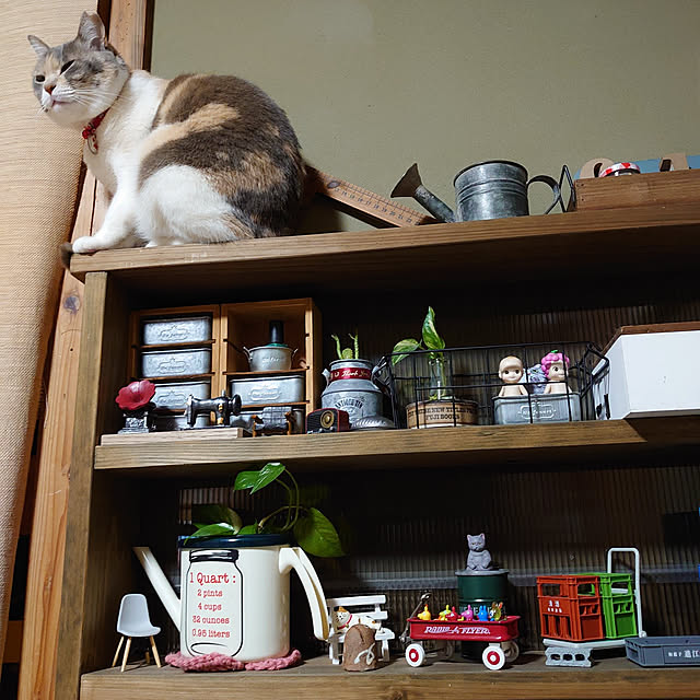 fukuさんの実例写真