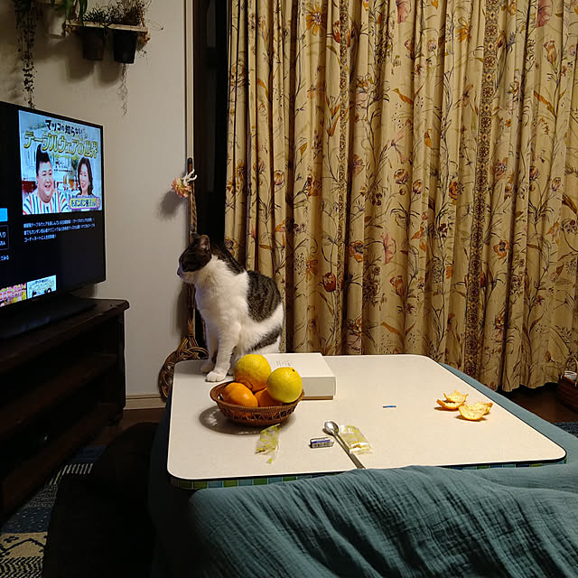 okyosan101さんの実例写真